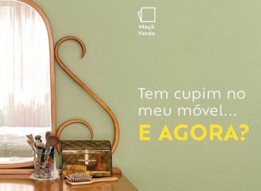Tem cupim no seu móvel... E AGORA?